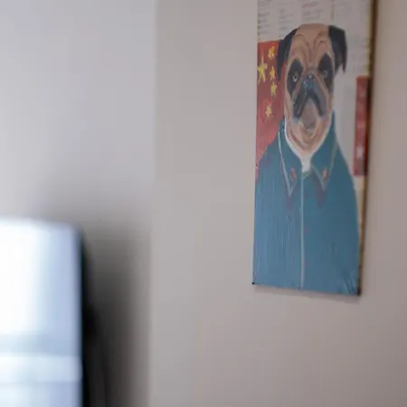 舒适漂亮的休闲公寓 Apartment *